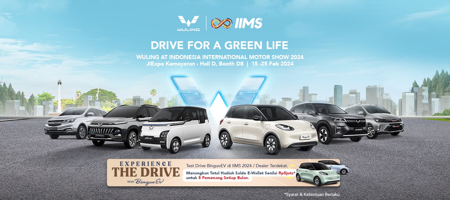 Wuling Assets