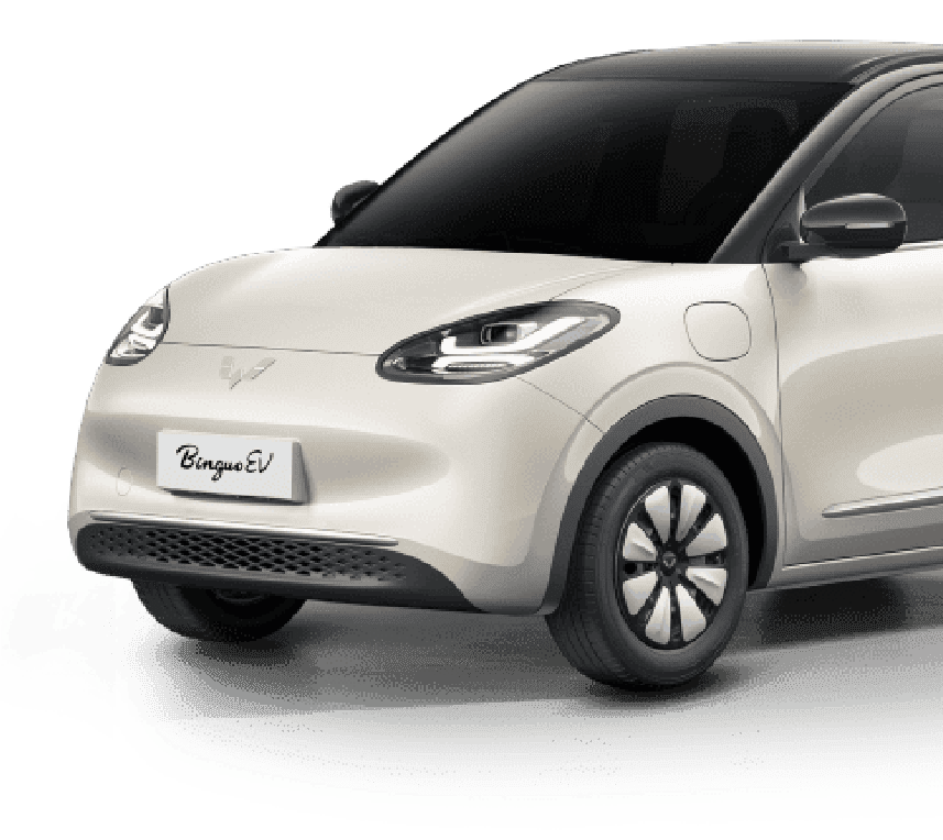 Wuling Assets
